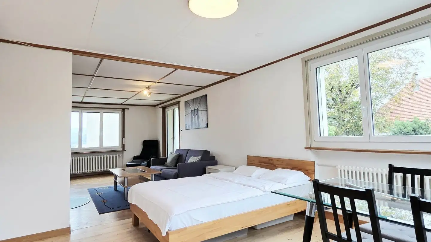 Single room for rent - 5712 Beinwil am See - Photo 3