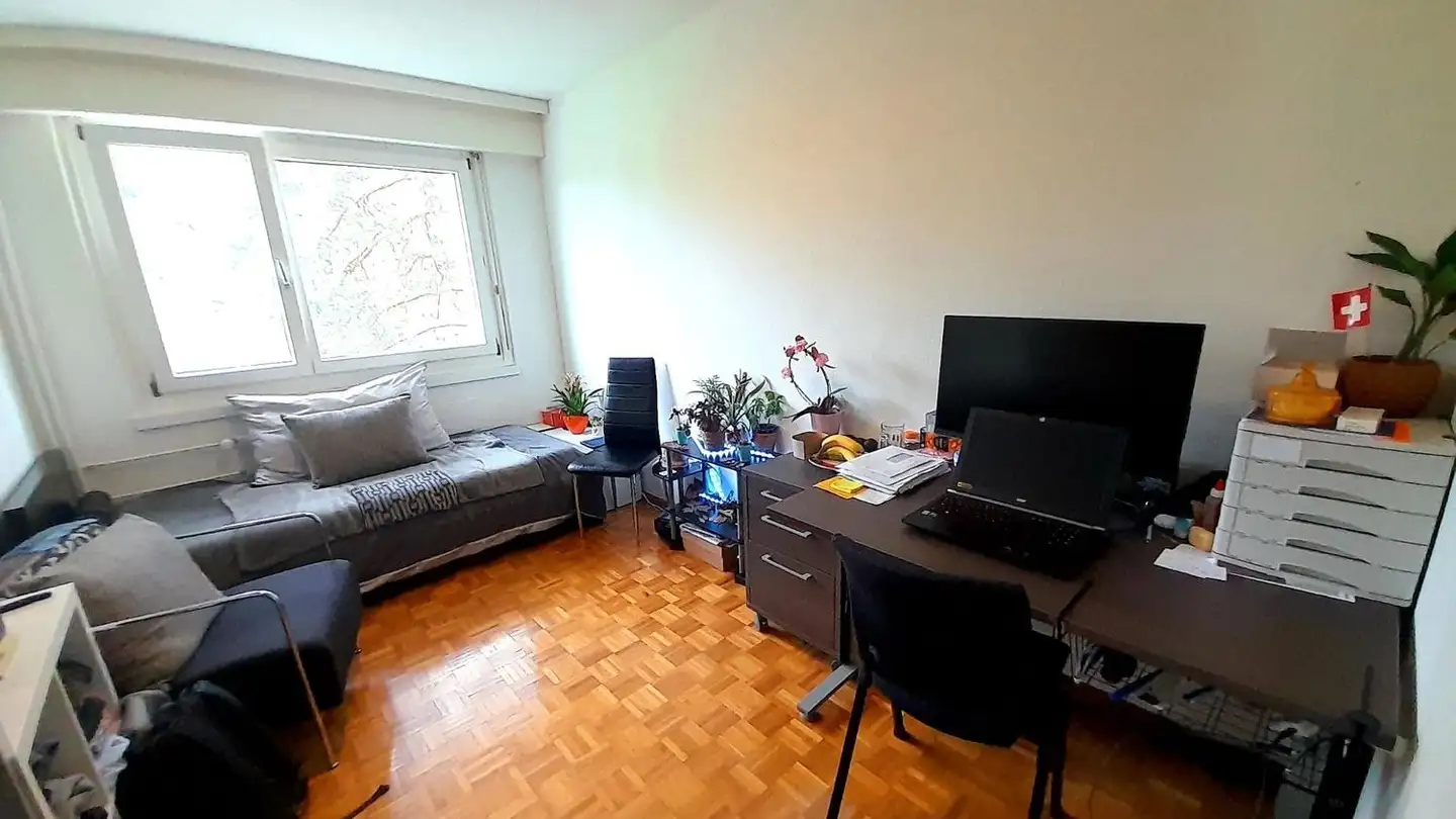 Chambre à louer - Am Pfisterhölzli, 8606 Greifensee