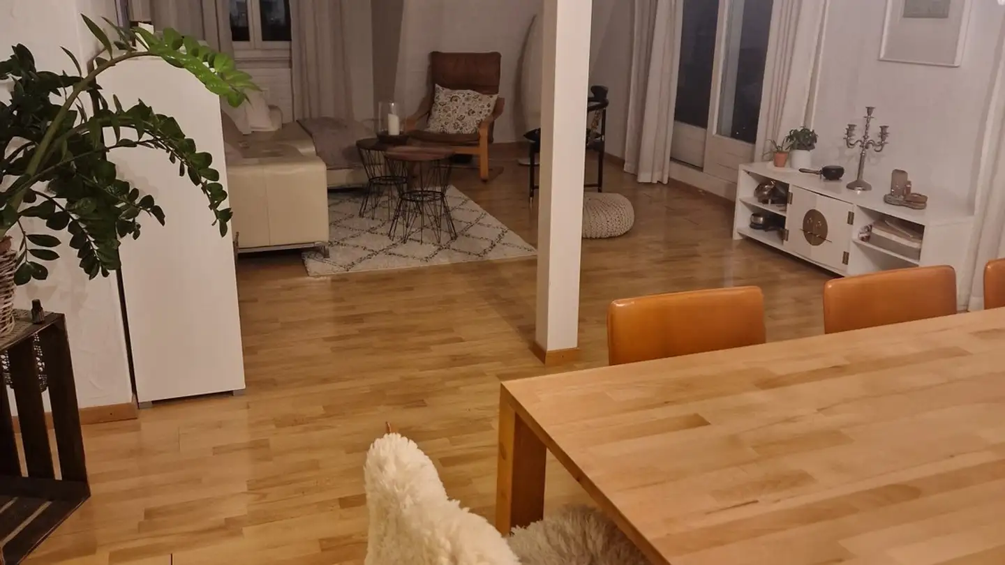 Appartamento in affitto - Parkstrasse 13, 6410 Goldau - Photo 2