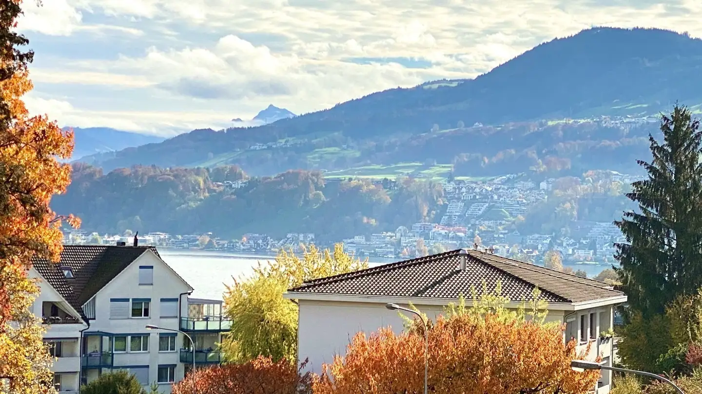 Single room for rent - Erlenstrasse 29, 8805 Richterswil - Photo 4