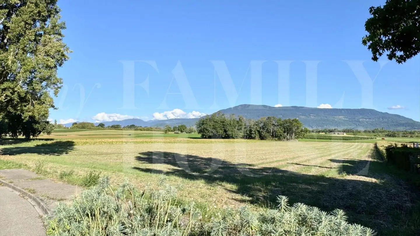 Attique à vendre - 1252 Meinier