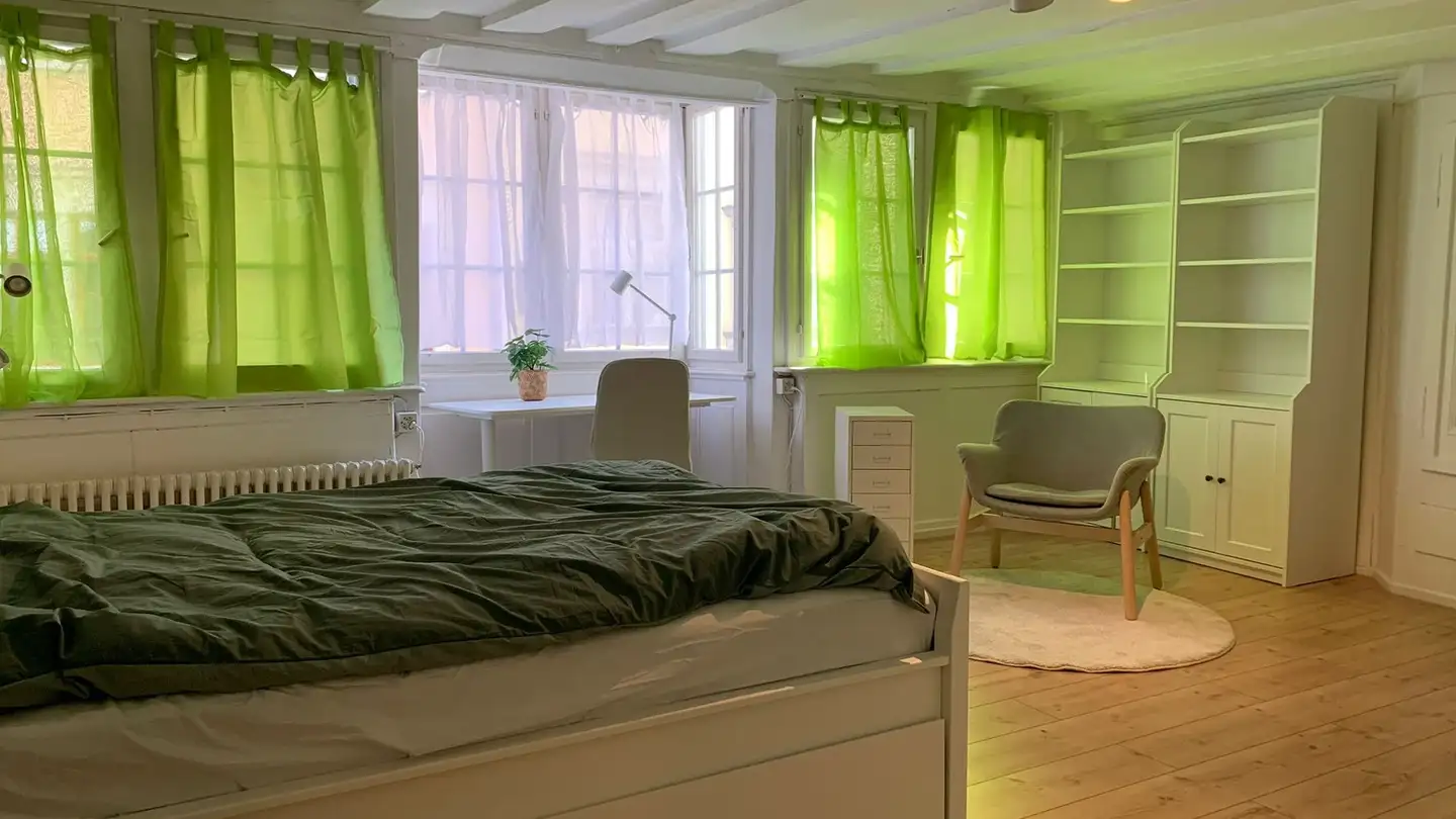 Chambre à louer - Spisergasse 24, 9000 St. Gallen - Photo 3