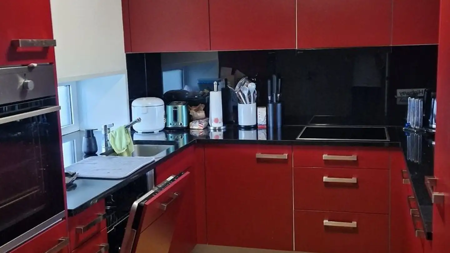 Appartamento in affitto - Seuzacherstrasse 7a, 8400 Winterthur - Foto 3
