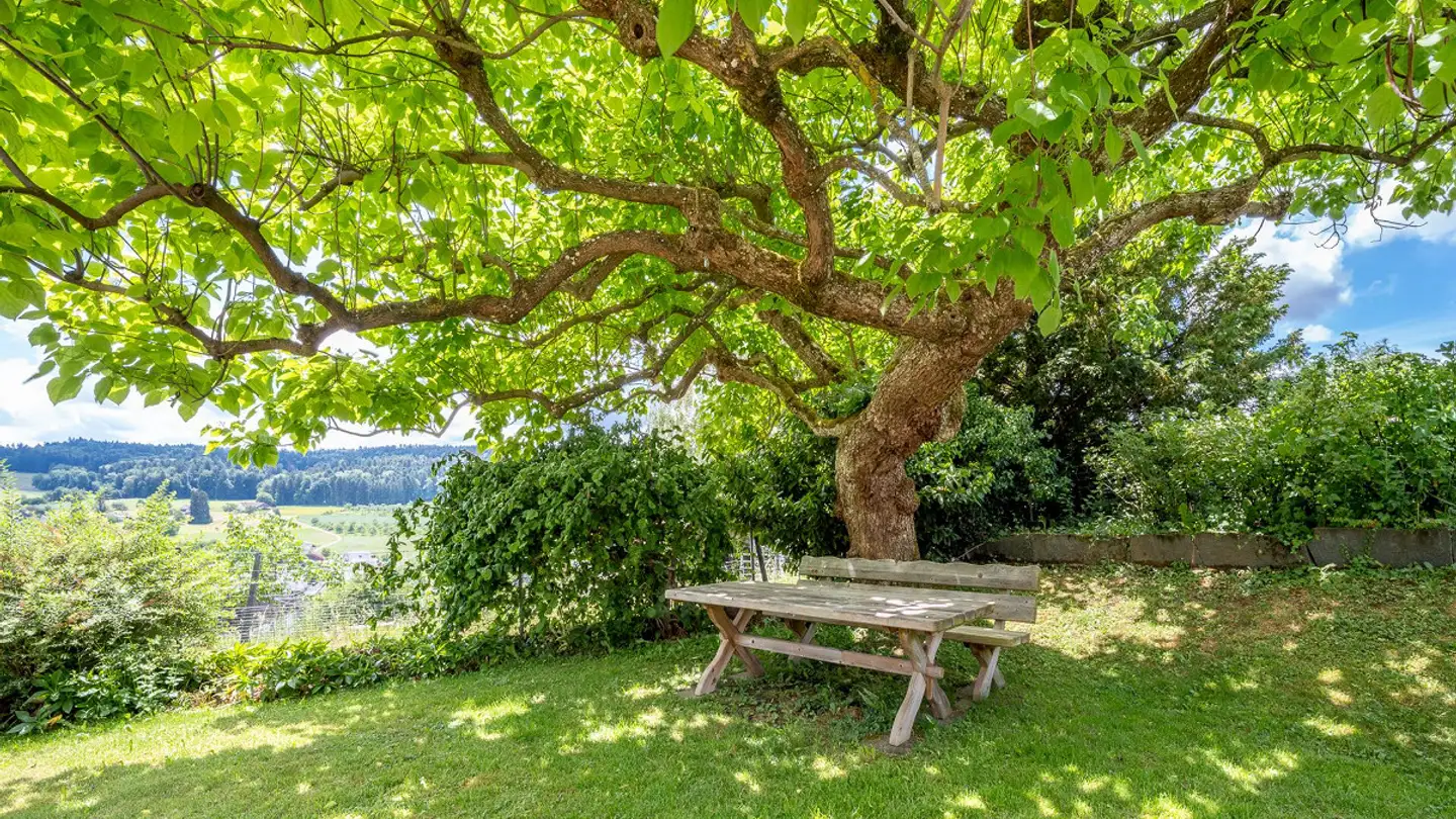 Einfamilienhaus kaufen - 5724 Dürrenäsch