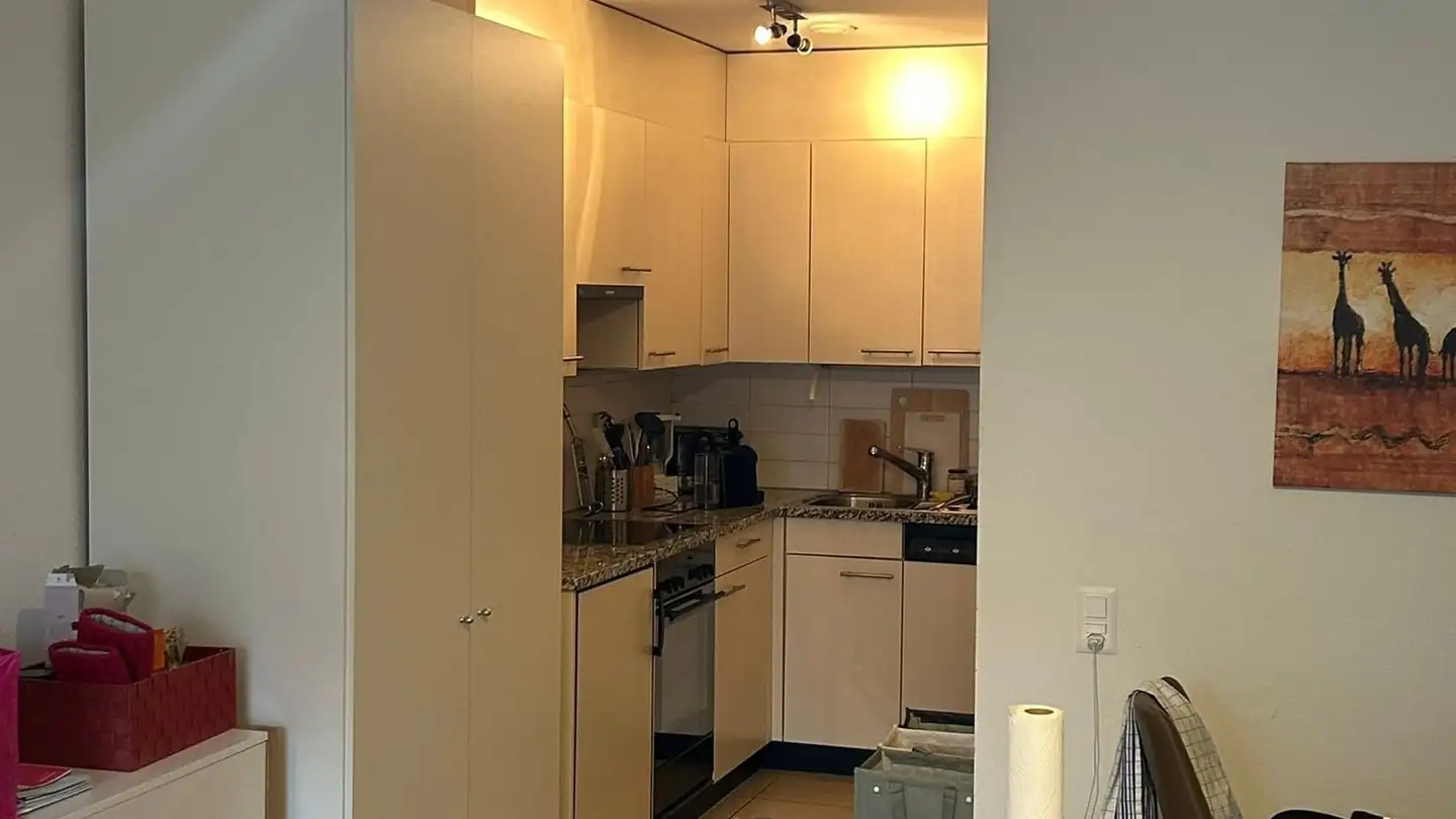 Appartamento in affitto - Via Edoardo Berta 6, 6512 Giubiasco - Foto 3