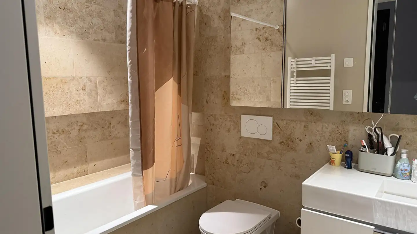 Apartment for rent - Davidsbodenstrasse 67, 4056 Basel - Photo 3