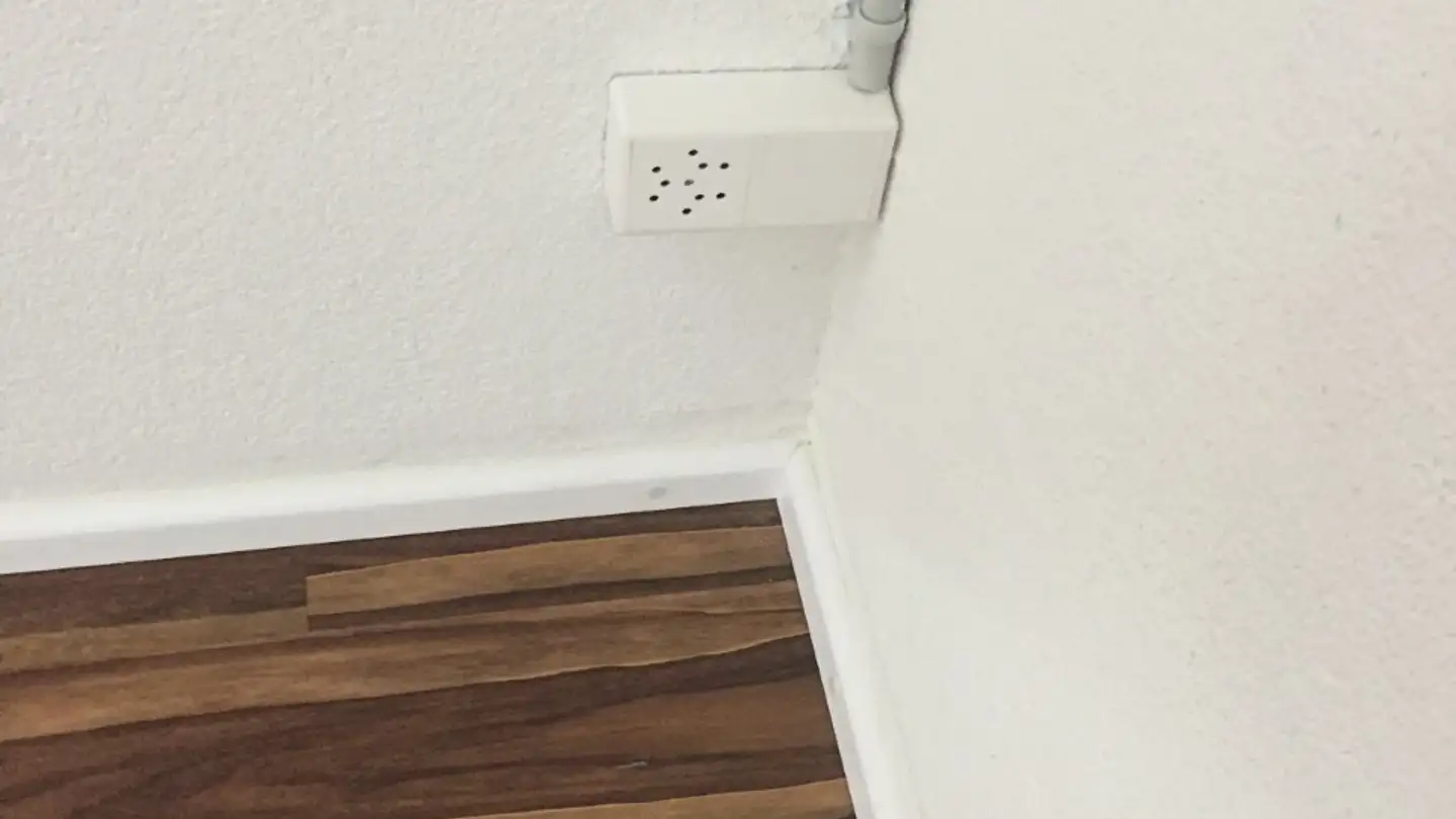 Sala hobby in affitto - Feldeggweg 1, 5033 Buchs AG - Photo 4