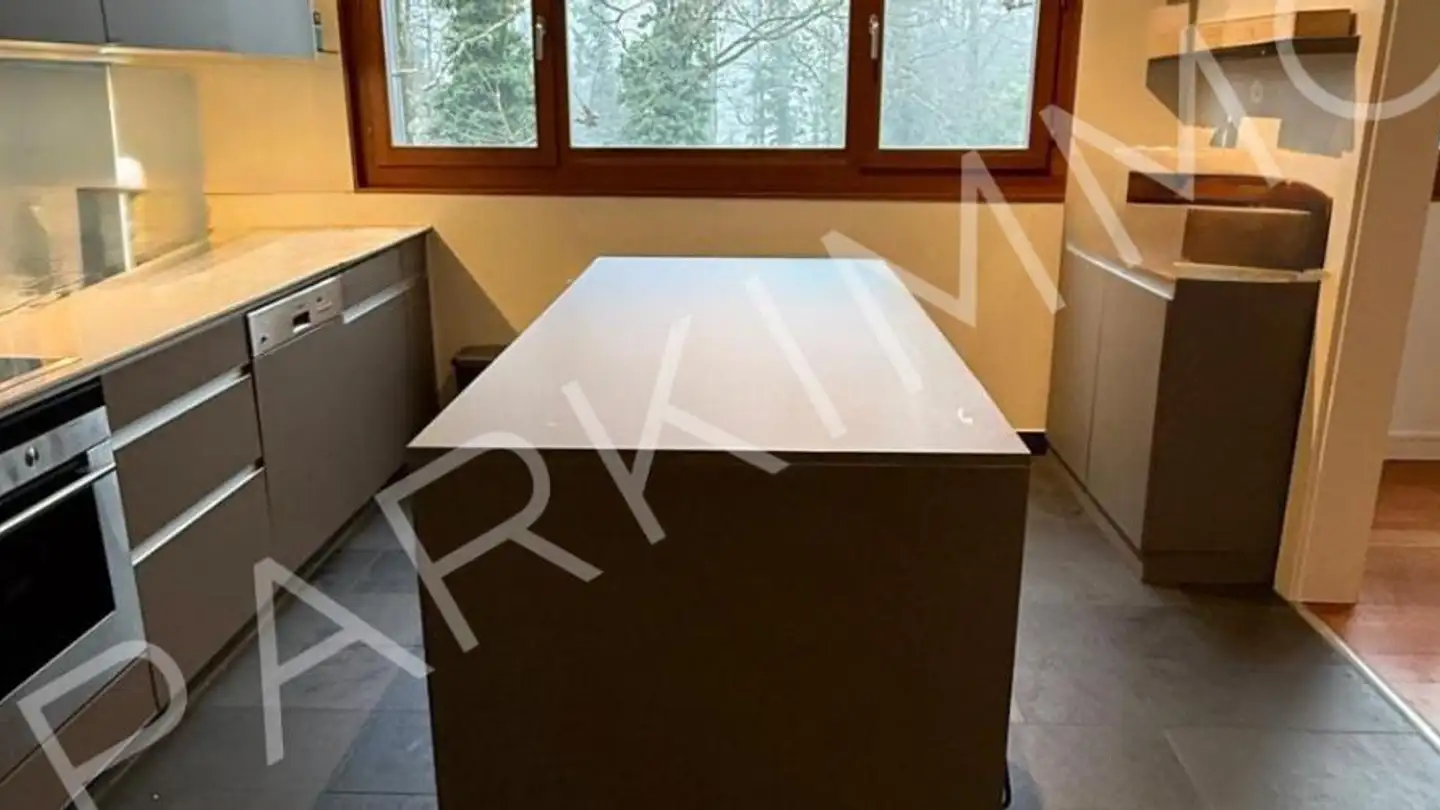 Duplex for rent - Route de la Capite 38, 1223 Cologny - Photo 3