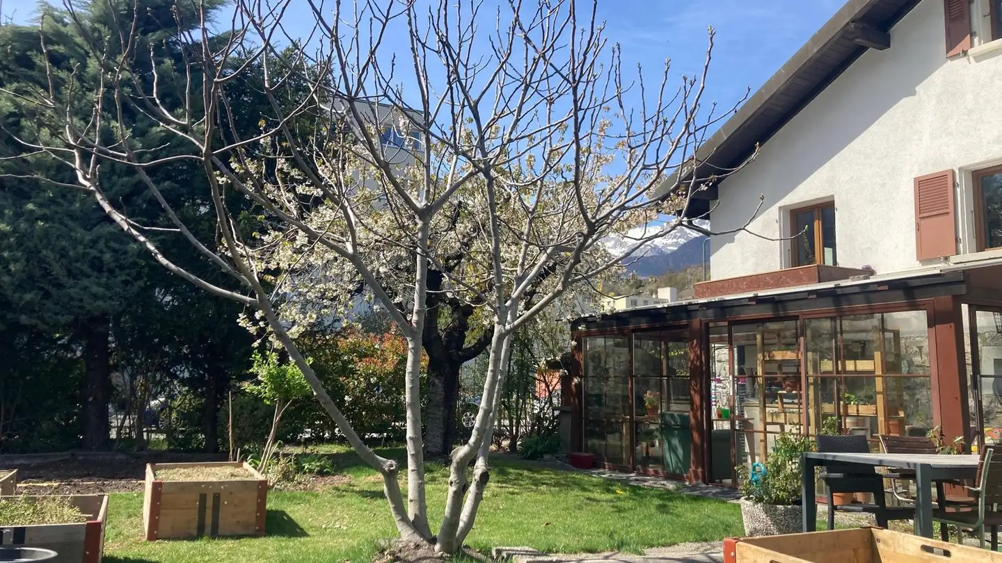 Chambre à louer - Chemin De Châteauneuf 31, 1950 Sion