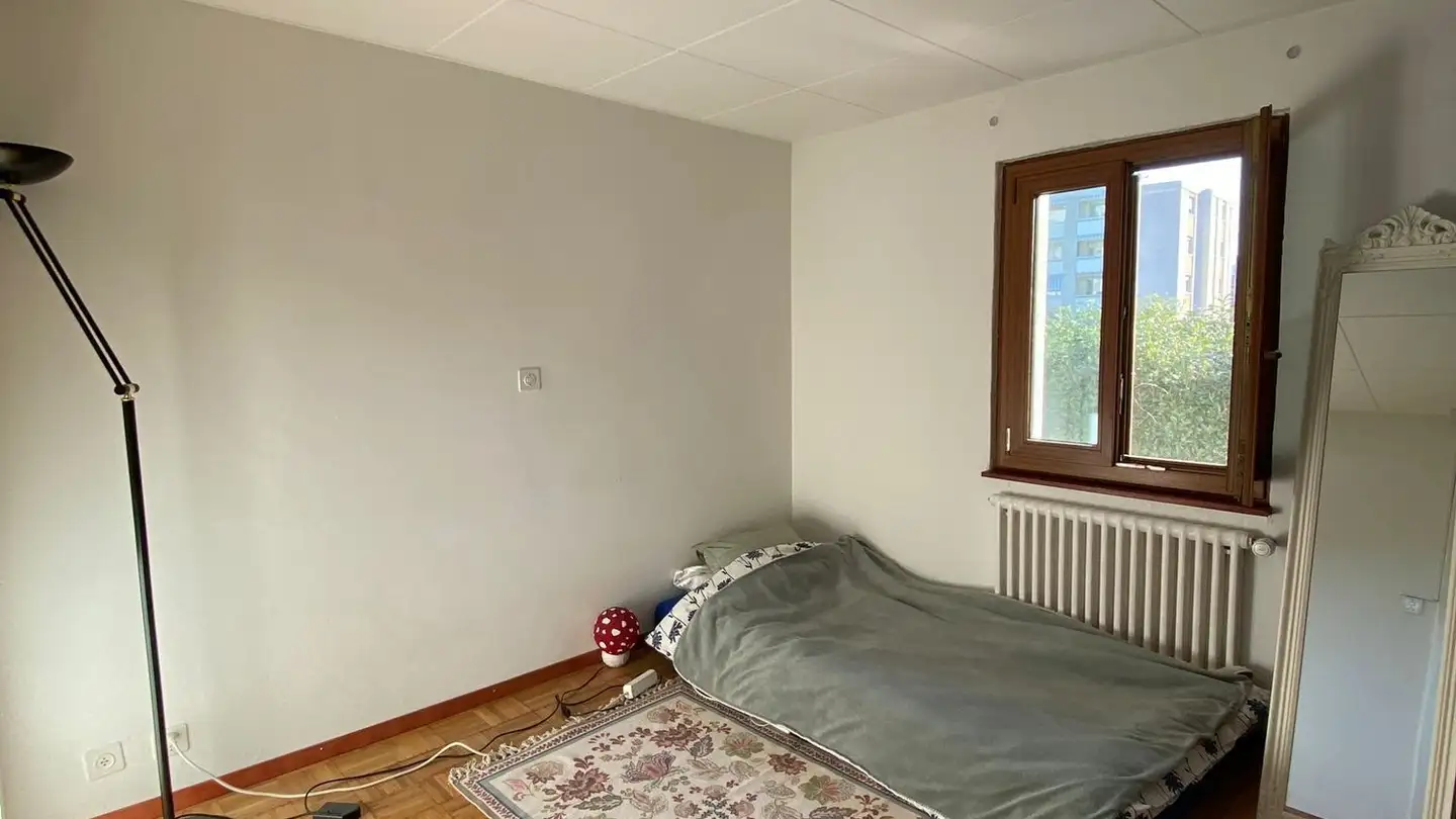 Chambre à louer - Chemin De Châteauneuf 31, 1950 Sion - Photo 3