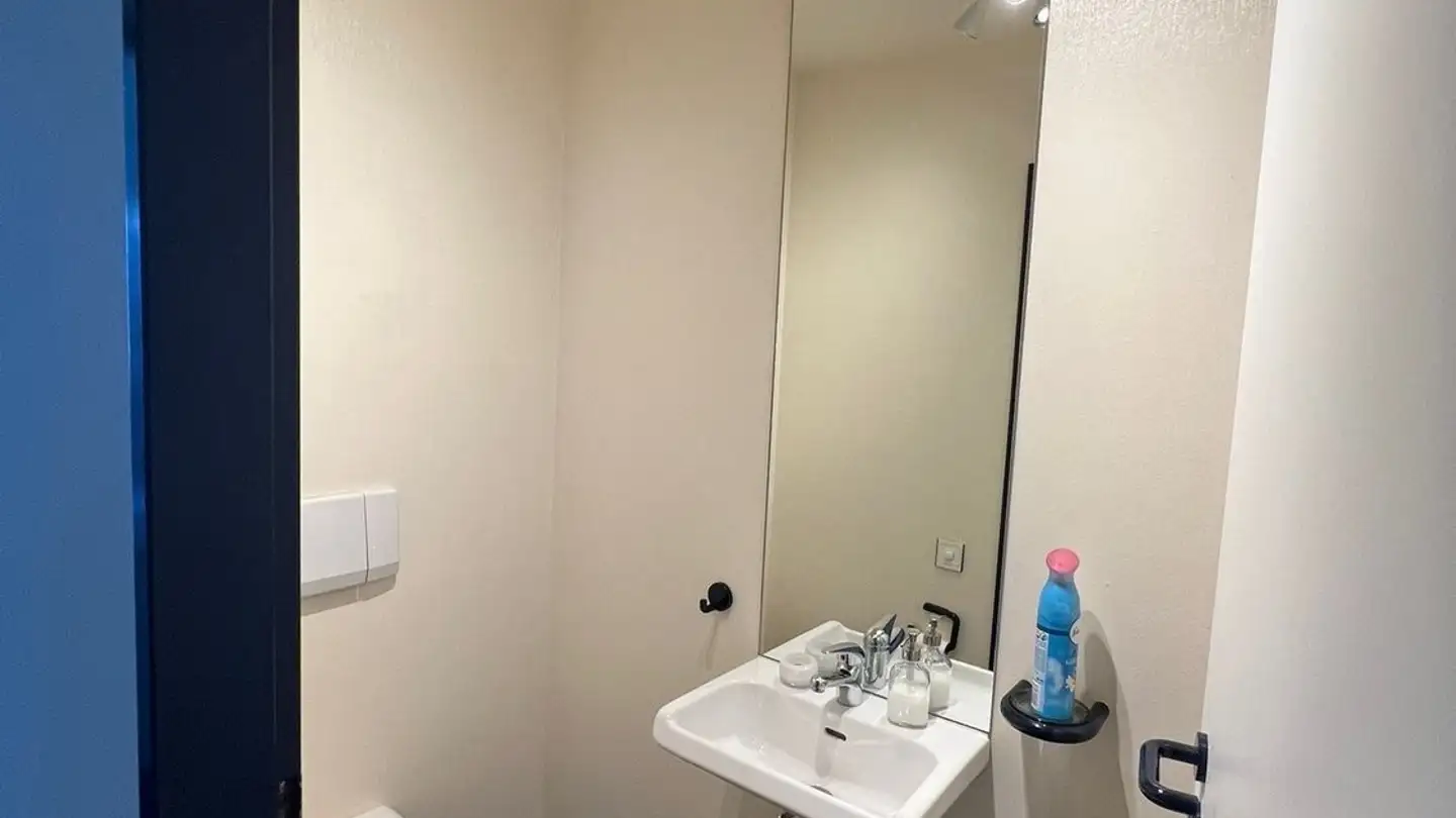 Single house for rent - Chemin D'eysins 49a, 1260 Nyon - Photo 4