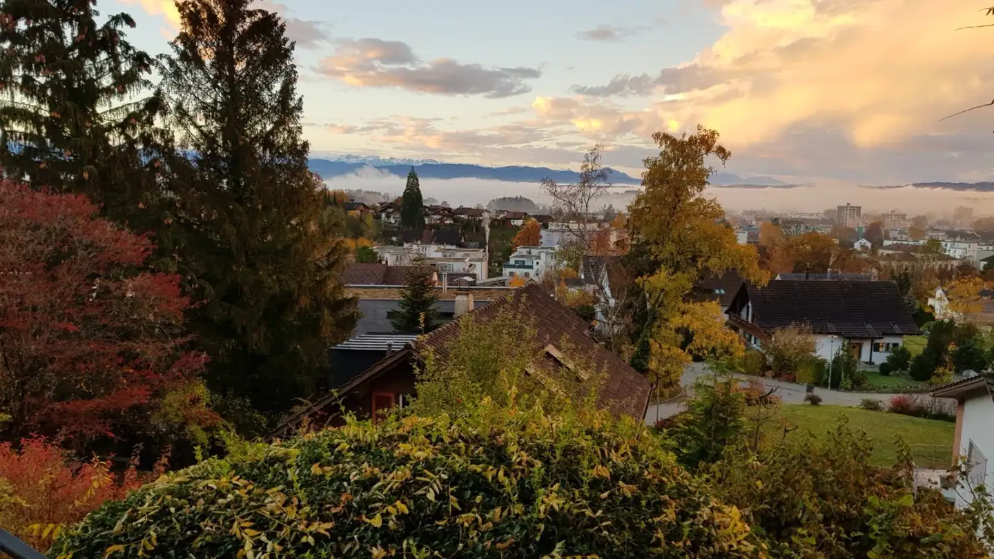 Appartamento in affitto - Leisihaldenstrasse 70, 8623 Wetzikon ZH - Foto 2