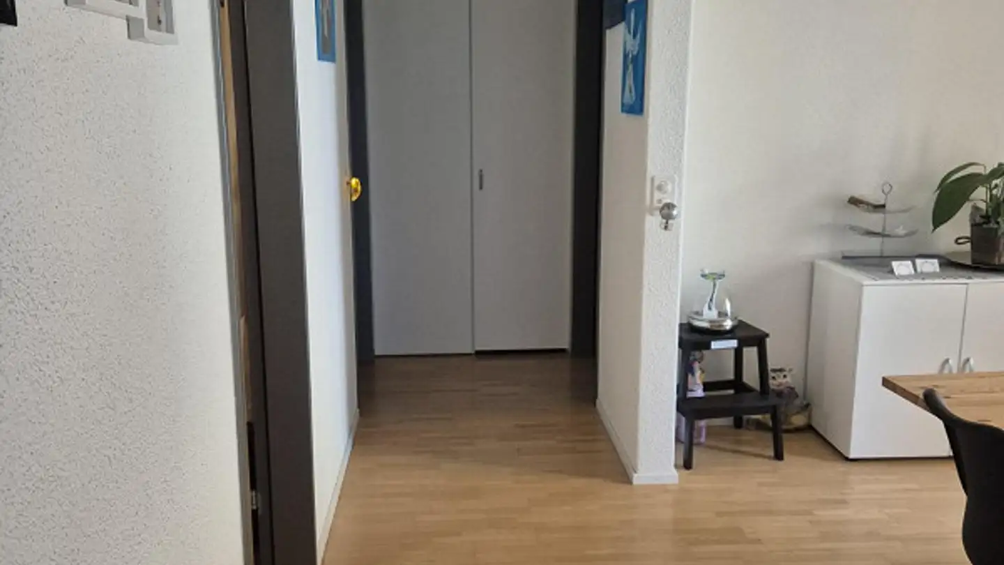 Appartamento in affitto - Färberstrasse 12a, 5734 Reinach AG - Foto 4