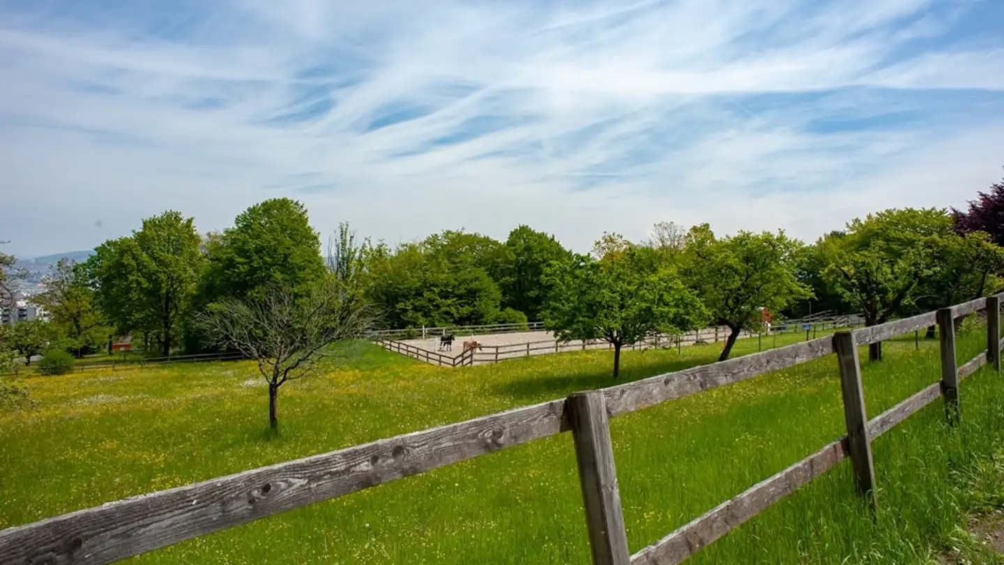 Appartamento in affitto - Zielweg 80, 8055 Zürich - Foto 3