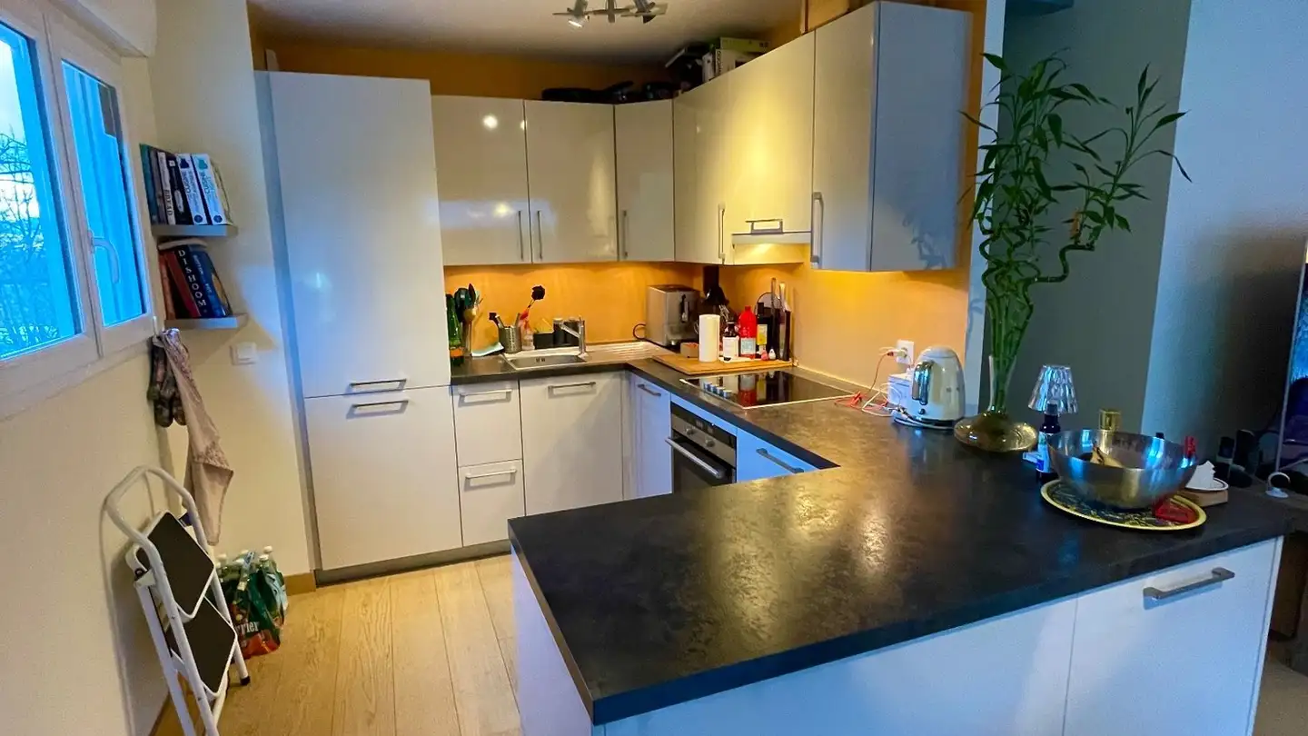 Appartamento in affitto - Route De Bossey, 1256 Troinex - Foto 3