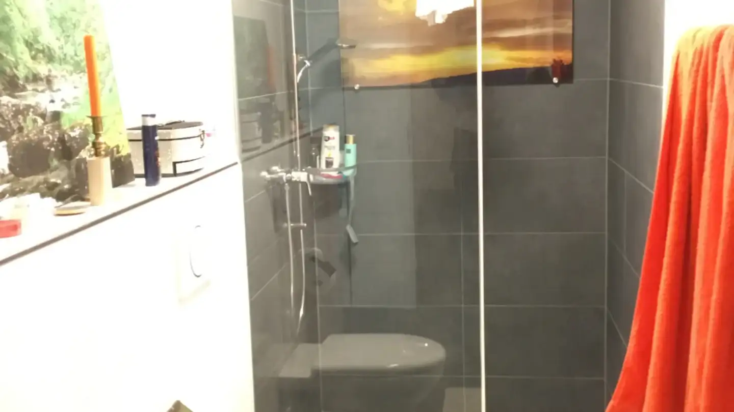 Appartement à louer - Mattenweg 12, 3225 Müntschemier - Photo 3