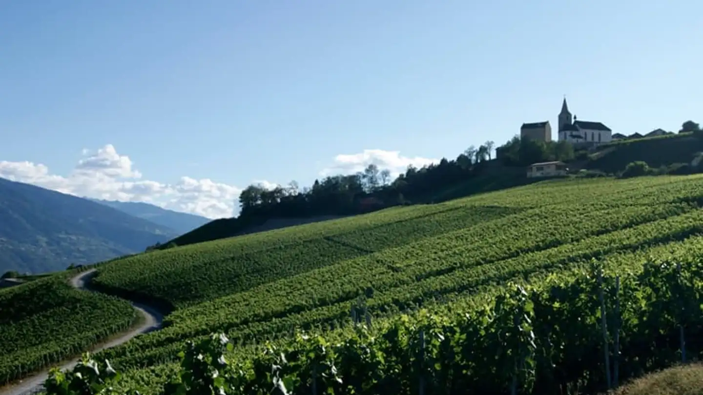 Terreno edificabile in vendita - 3973 Venthône - Photo 2