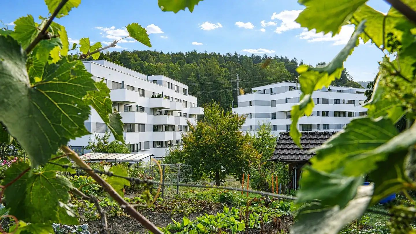 Appartamento in affitto - Etzbergweg 21, 8405 Winterthur - Foto 2
