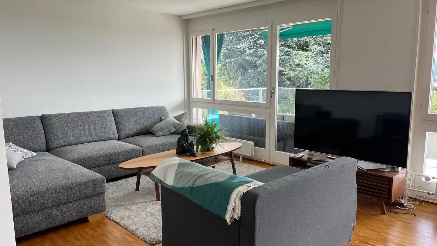 Appartement meublé à louer - Chemin Du Fau-Blanc 20h, 1009 Pully - Photo 4