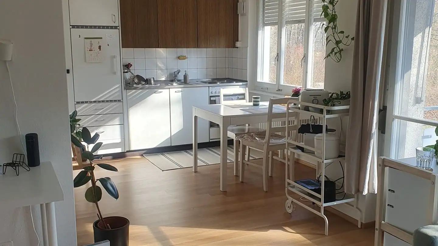 Appartamento in affitto - 8400 Winterthur