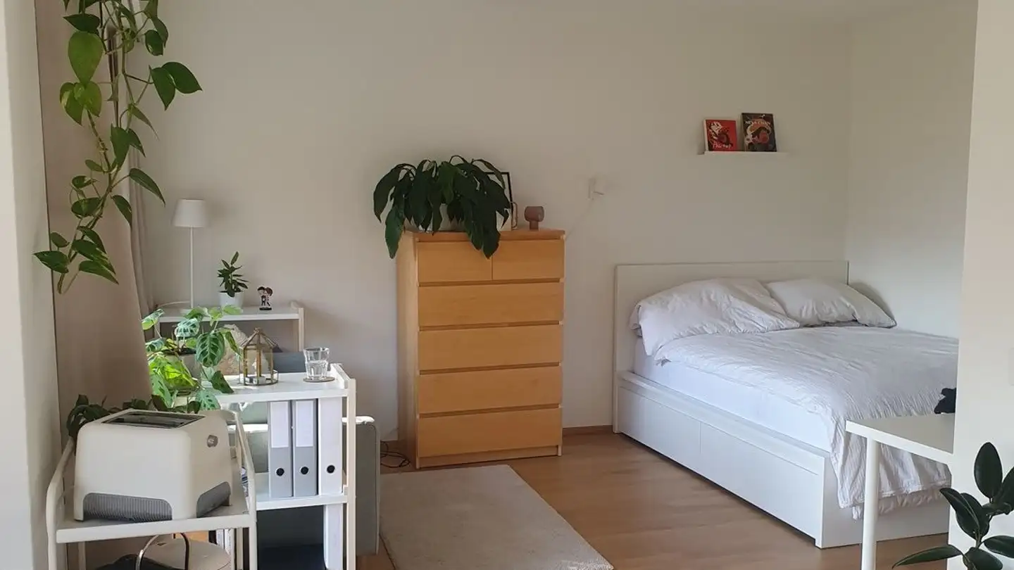 Appartamento in affitto - 8400 Winterthur - Foto 2