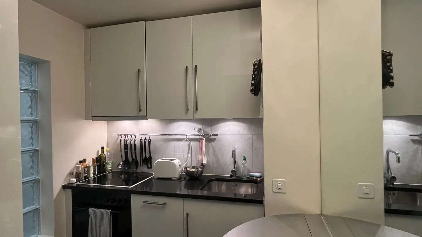 Penthouse for rent - Grand-Rue 12, 1204 Genève - Photo 3