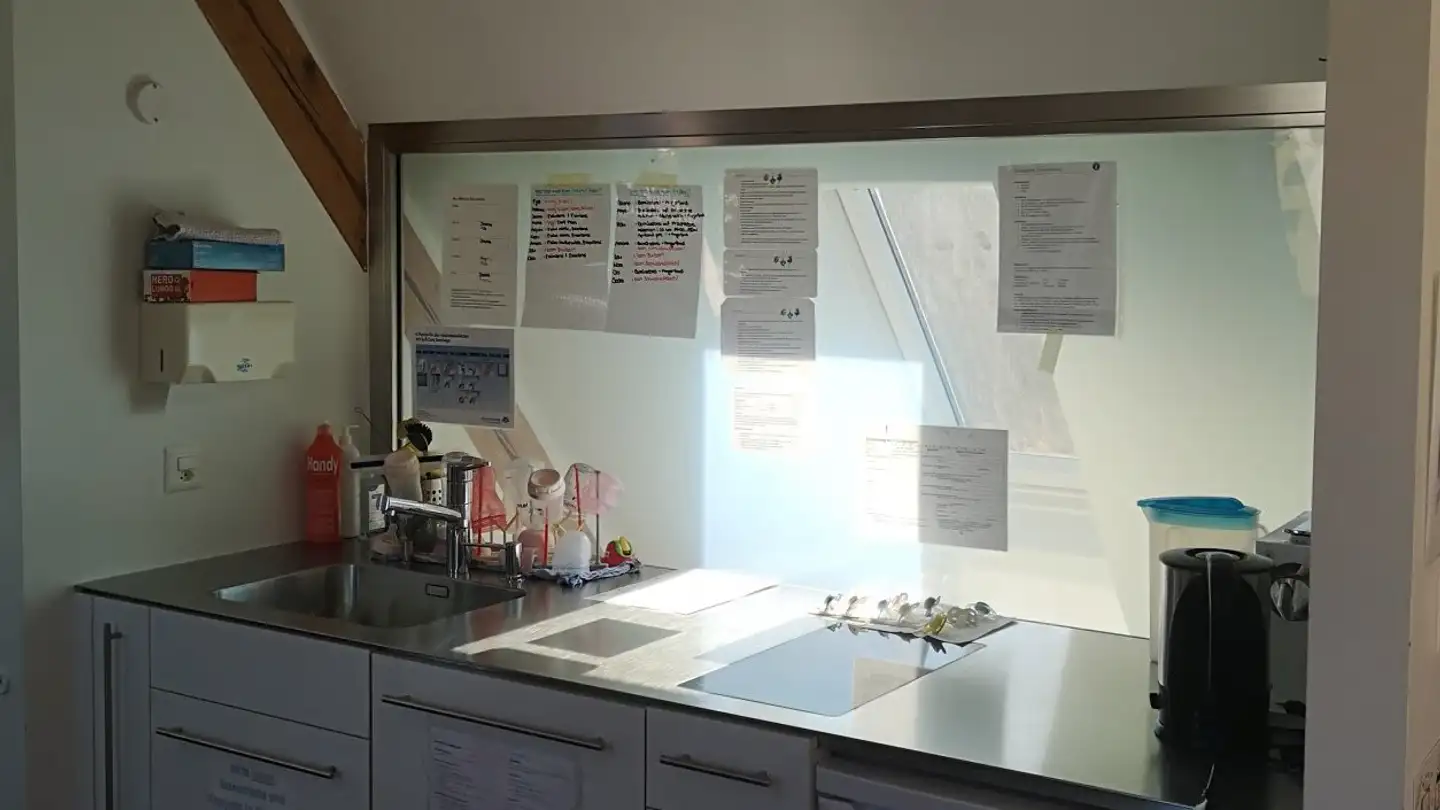 Appartamento in affitto - Bachstrasse, 8640 Rapperswil SG - Foto 3
