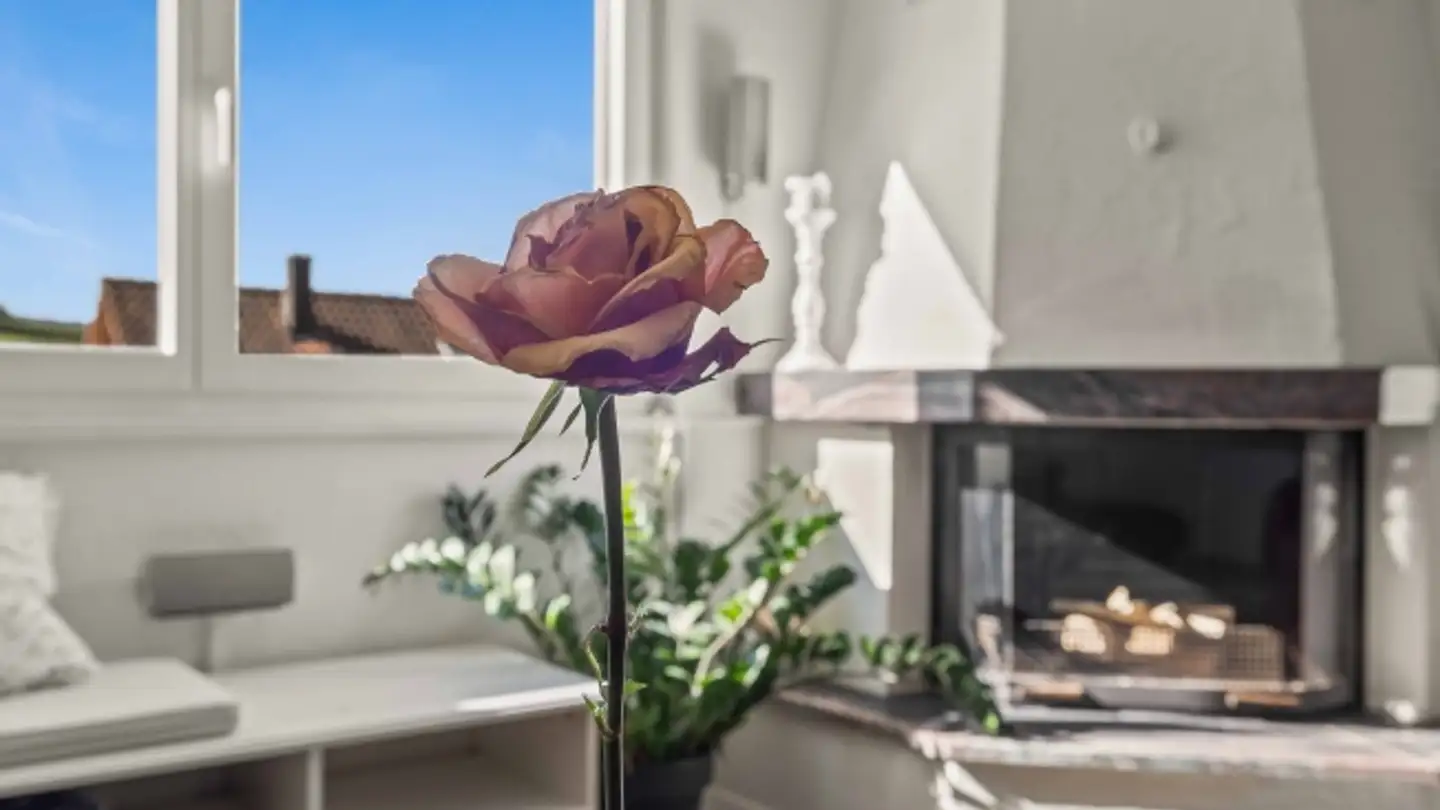 Casa singola in vendita - 5303 Würenlingen - Photo 3