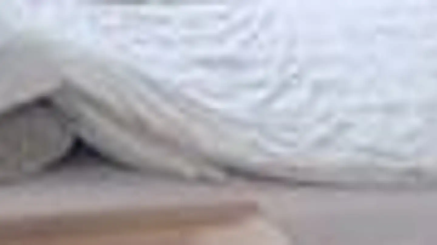 Appartement à louer - Bruneggerstrasse 1, 5103 Möriken AG - Photo 4