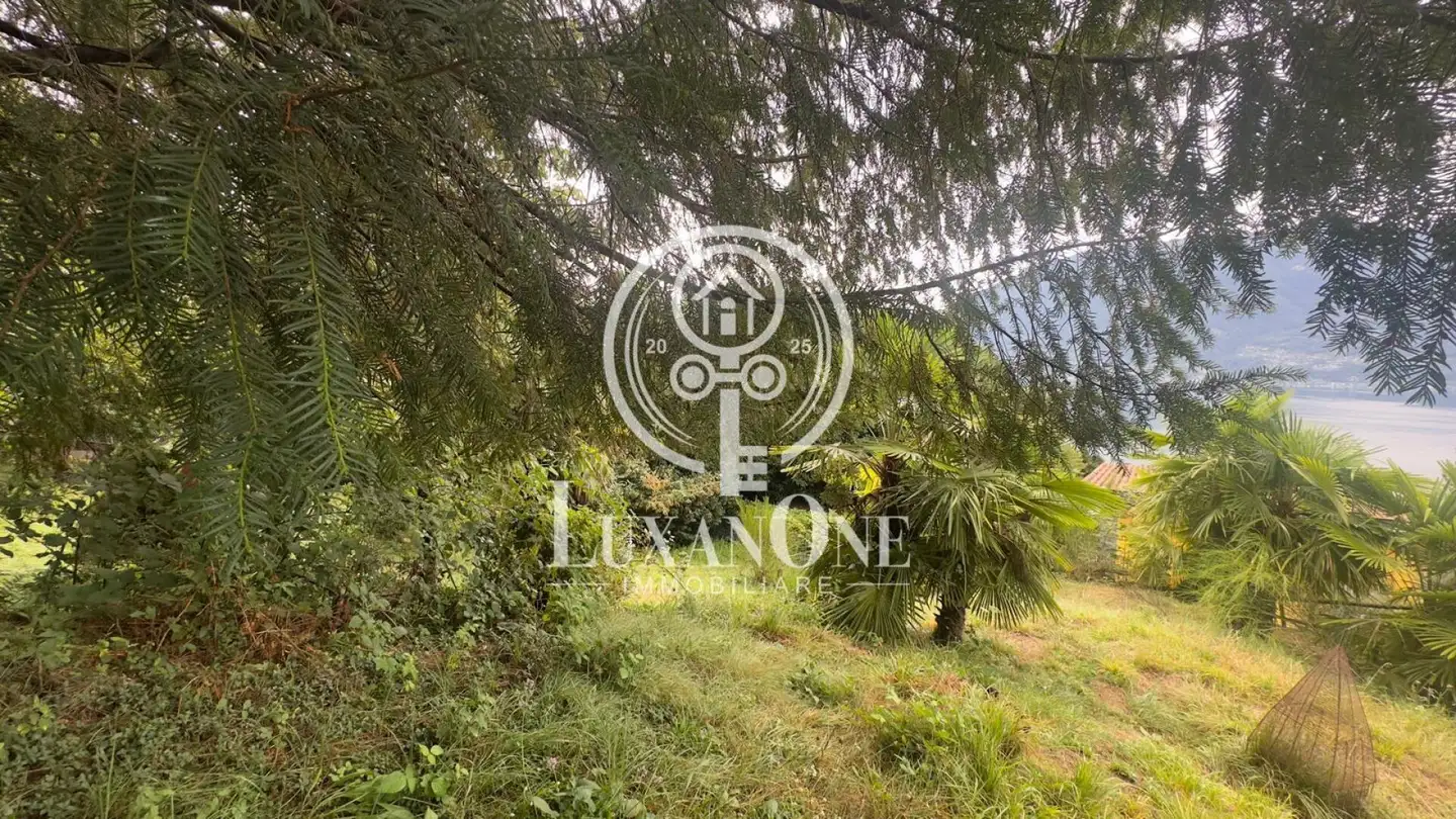 Bauland kaufen - 6645 Brione sopra Minusio - Foto 3