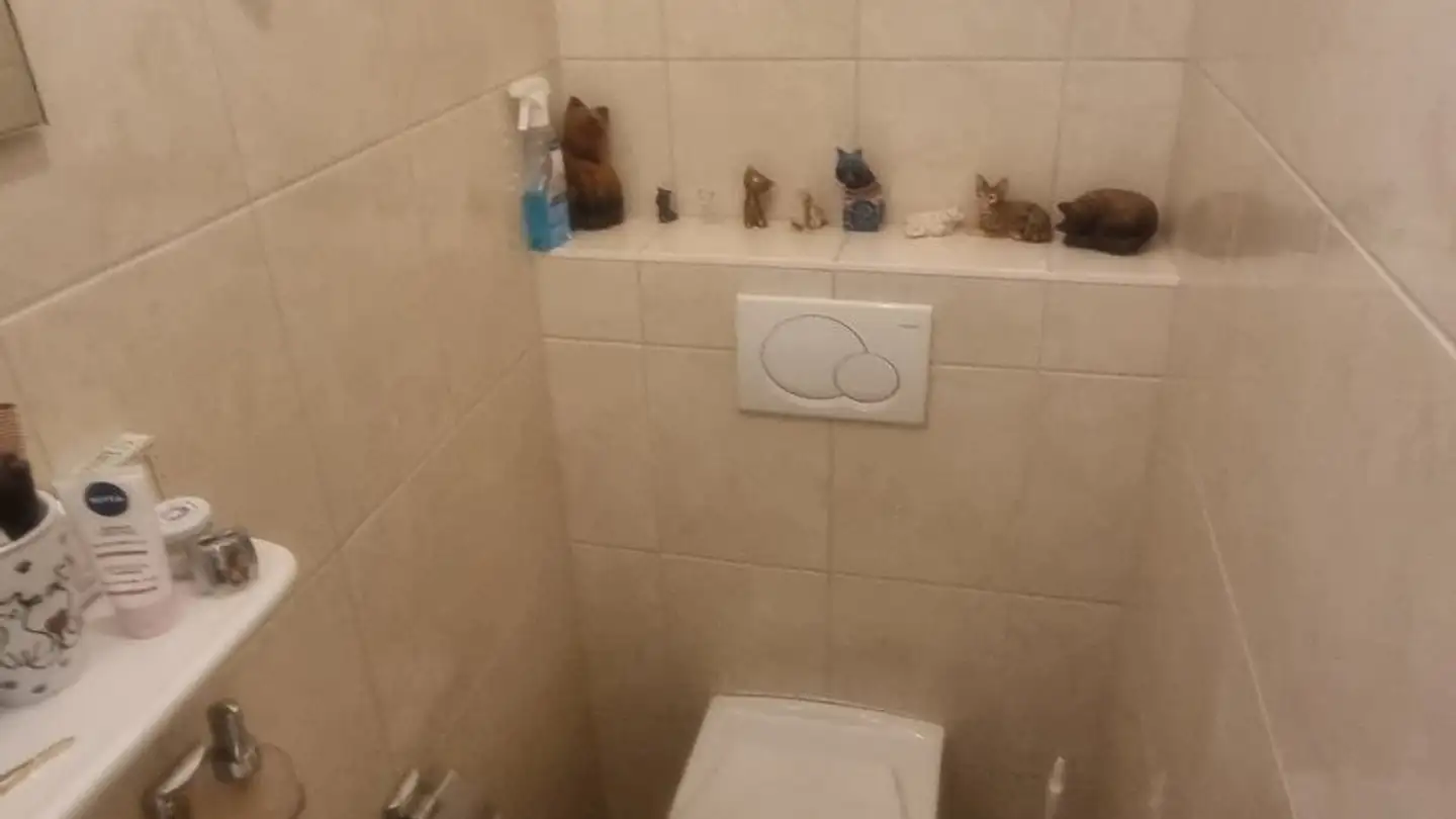 Appartamento in affitto - Route Du Simplon 33, 3960 Sierre - Foto 4