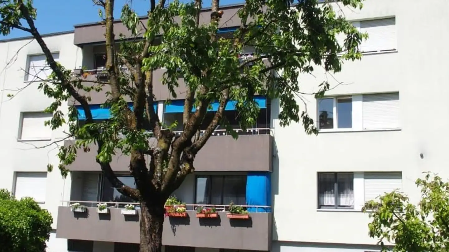 Apartment for rent - Bürglenstrasse 5, 8330 Pfäffikon ZH
