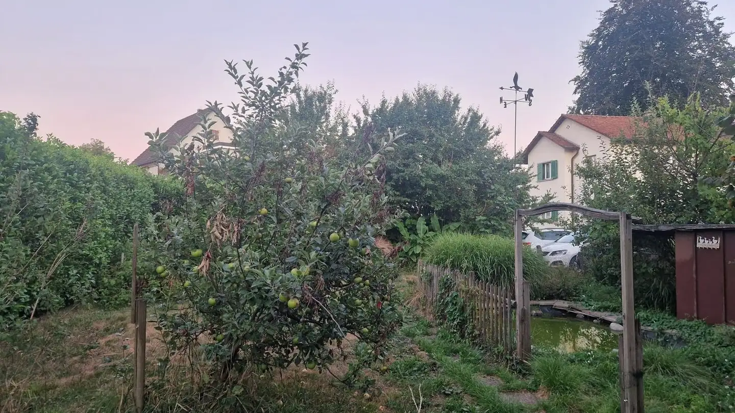 Casa singola in affitto - 8630 Rüti ZH - Foto 4