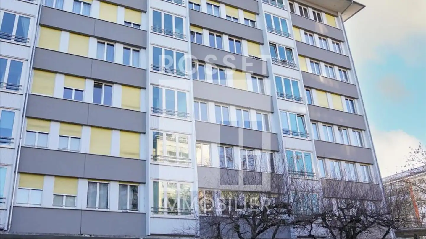 Appartamento in affitto - Rue Du Vidollet 27, 1202 Genève