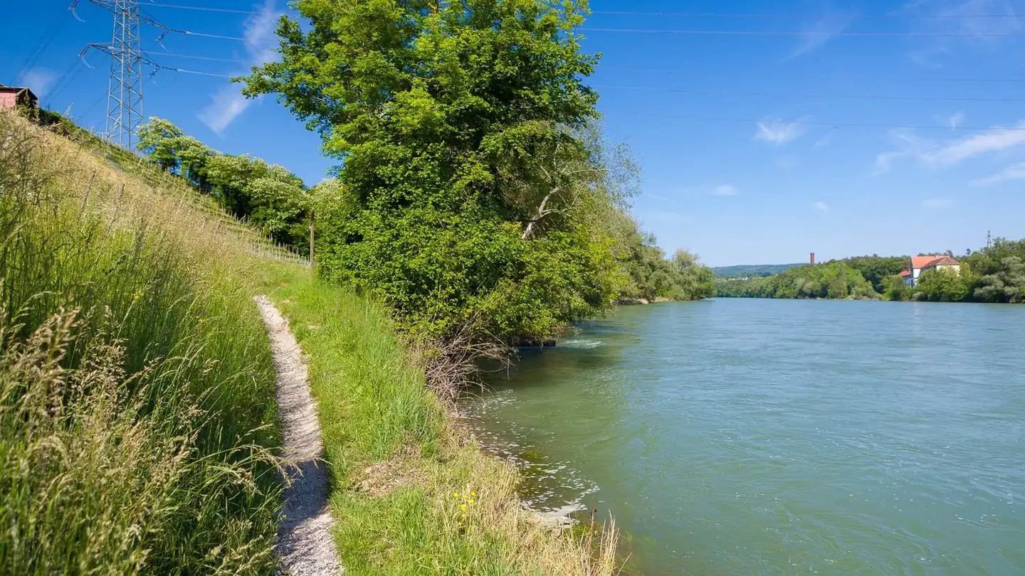 Apartment for sale - Dorfstrasse 10, 5314 Kleindöttingen - Photo 4