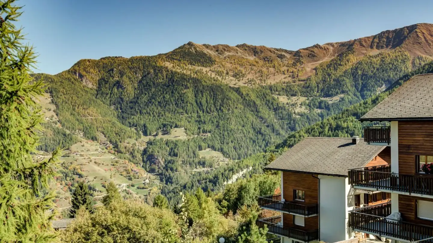 Wohnung kaufen - Rue Centrale 5, 1918 La Tzoumaz - Foto 4