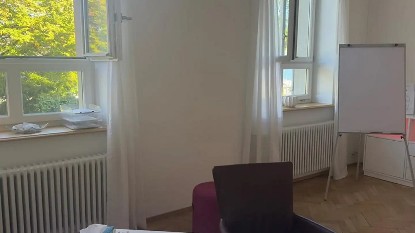 Commerciale in affitto - Seestrasse 117, 8800 Thalwil - Foto 4