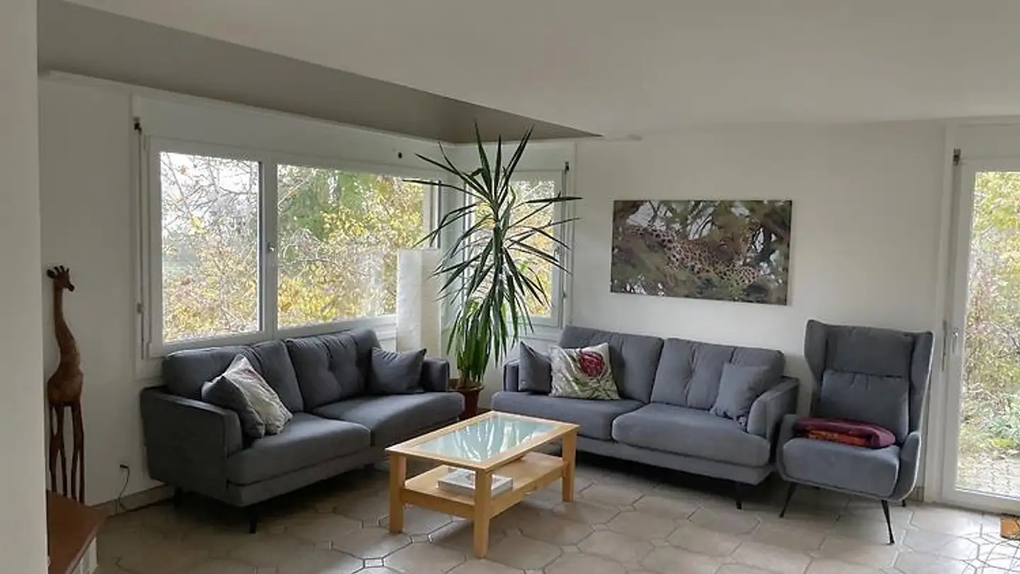 Appartement meublé à louer - 8253 Diessenhofen