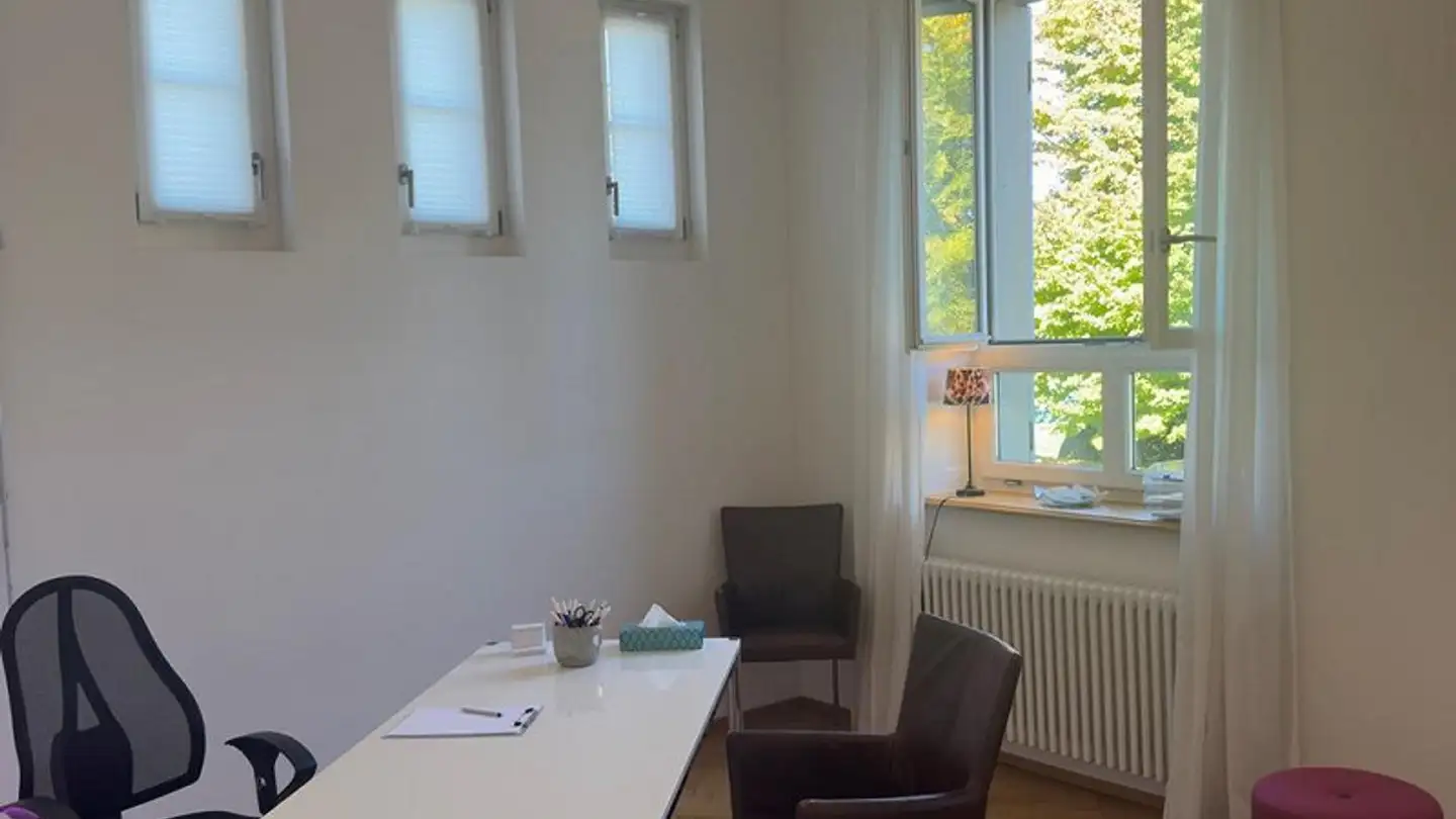Commerciale in affitto - Seestrasse 117, 8800 Thalwil