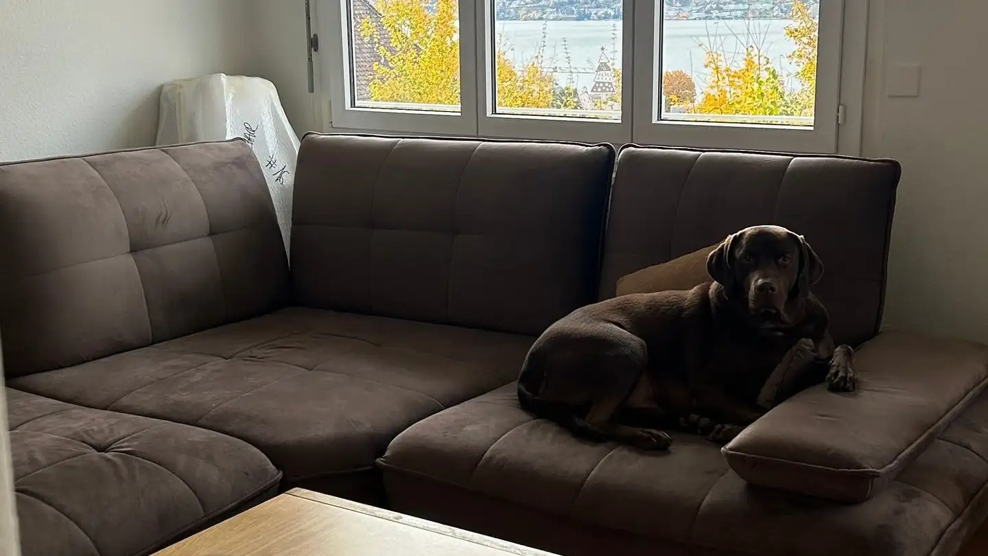 Appartamento in affitto - Im Lägi, 8700 Küsnacht ZH - Photo 3