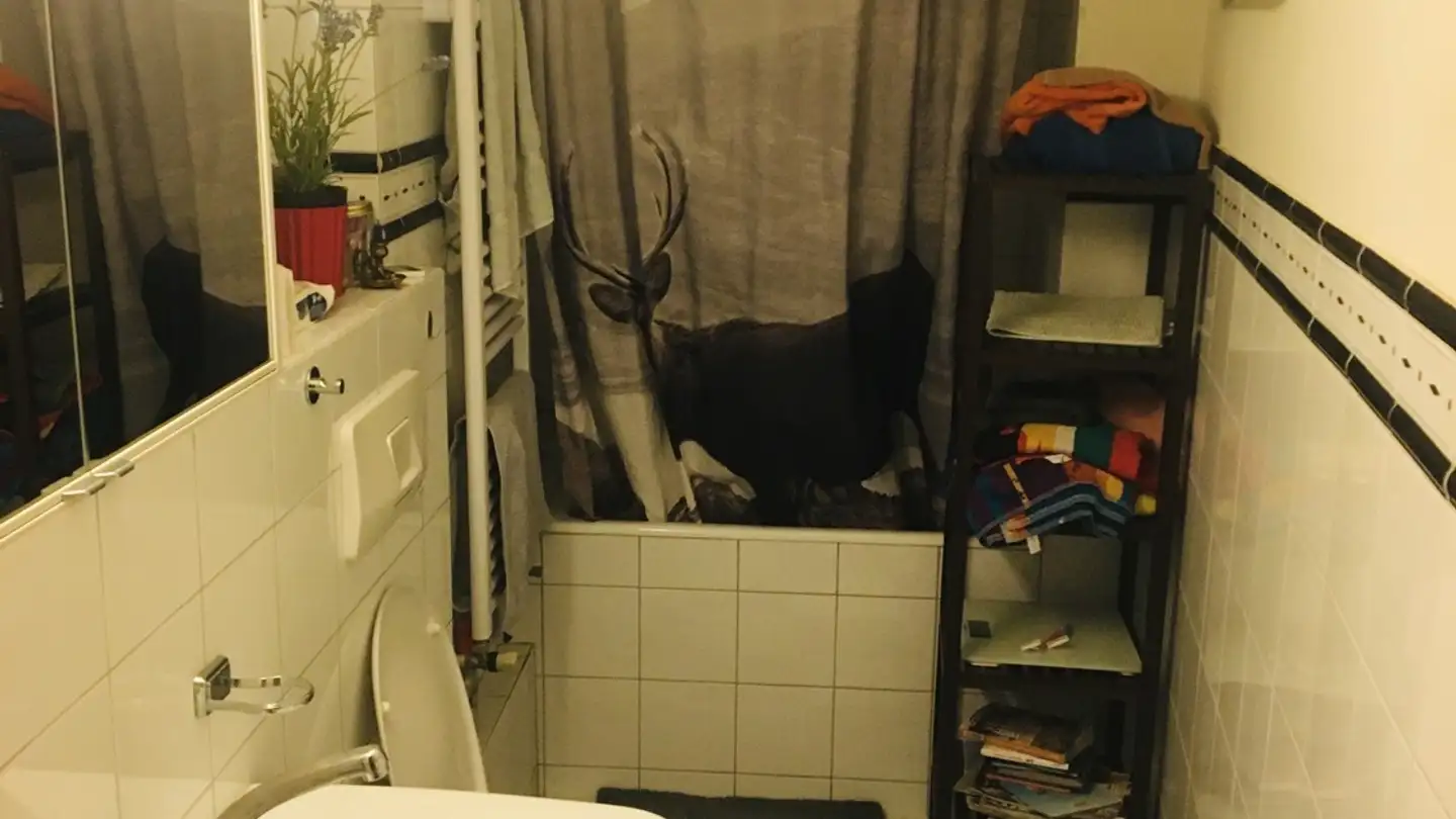 Apartment for rent - Fischmarktstrasse 12, 8640 Rapperswil SG - Photo 3