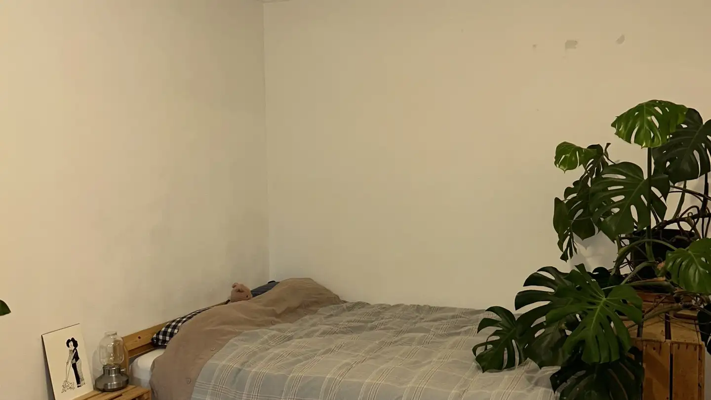 Furnished apartment for rent - 8046 Zürich - Photo 4