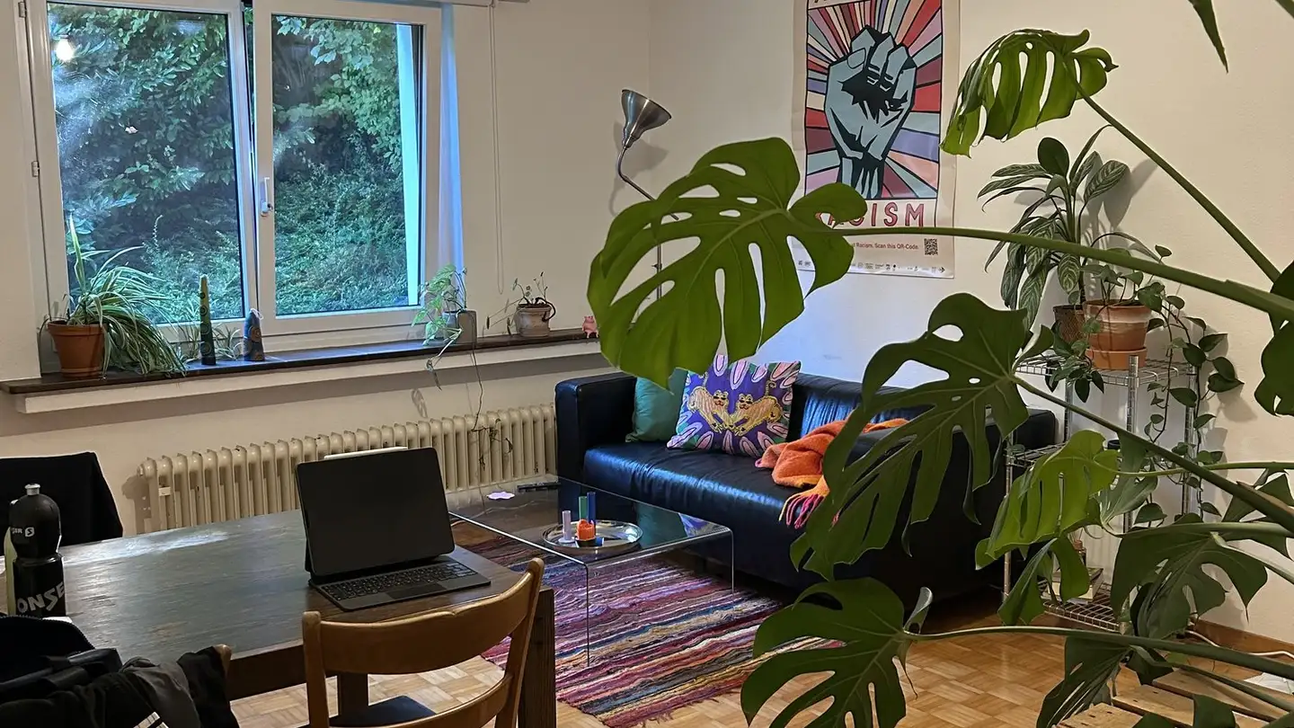Furnished apartment for rent - 8046 Zürich