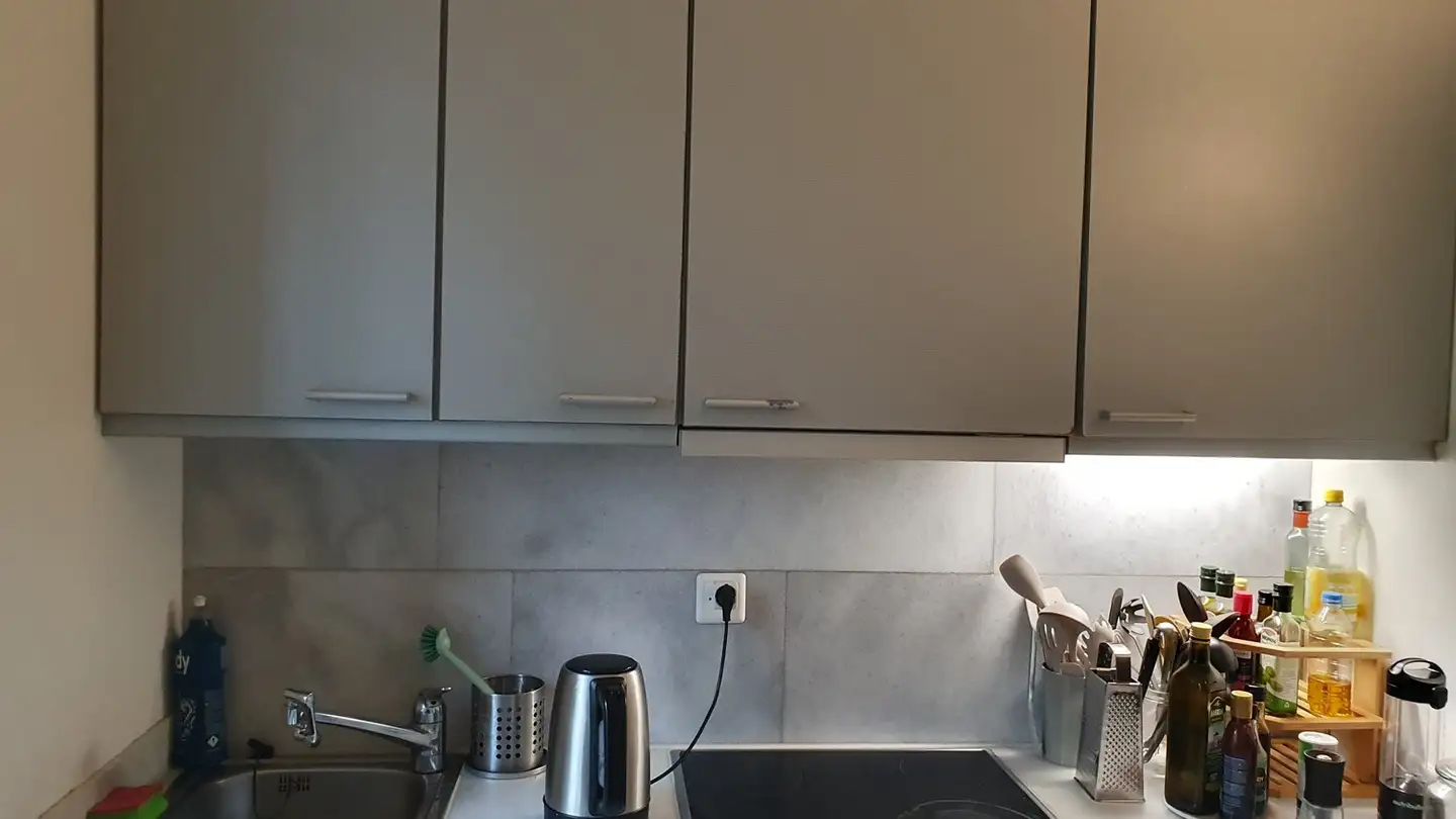 Appartamento in affitto - Haslerstrasse, 8003 Zürich