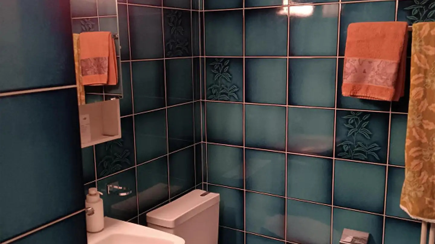 Attico in affitto - Via Cantonale 69, 6537 Grono - Foto 3