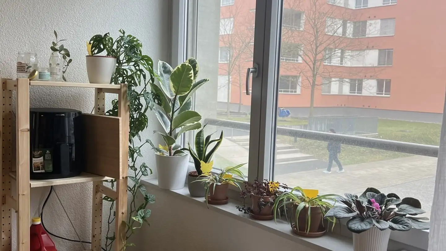 Furnished apartment for rent - 8152 Glattpark (Opfikon) - Photo 4
