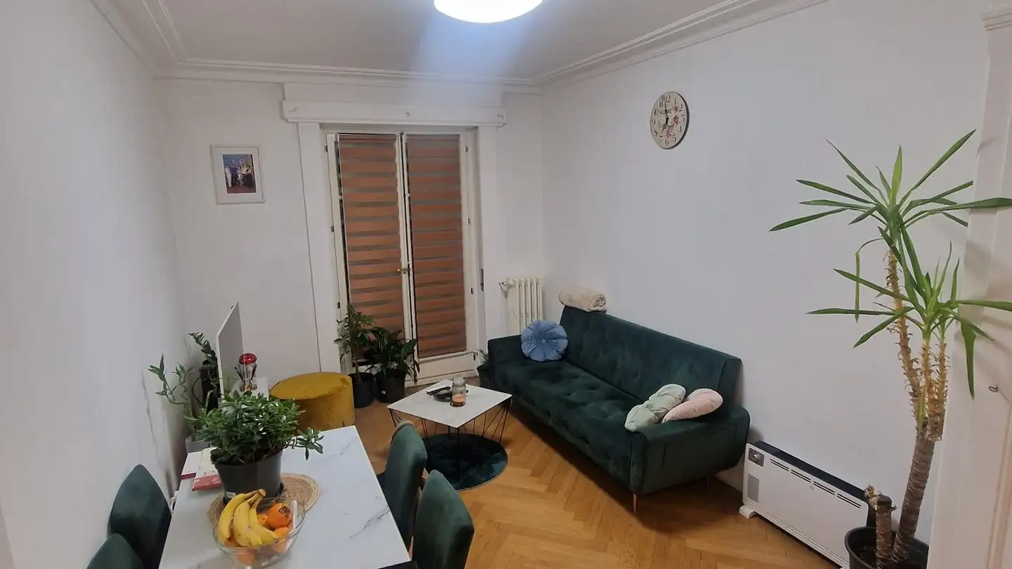 Appartamento in affitto - Rue Emile- Yung 3, 1205 Genève