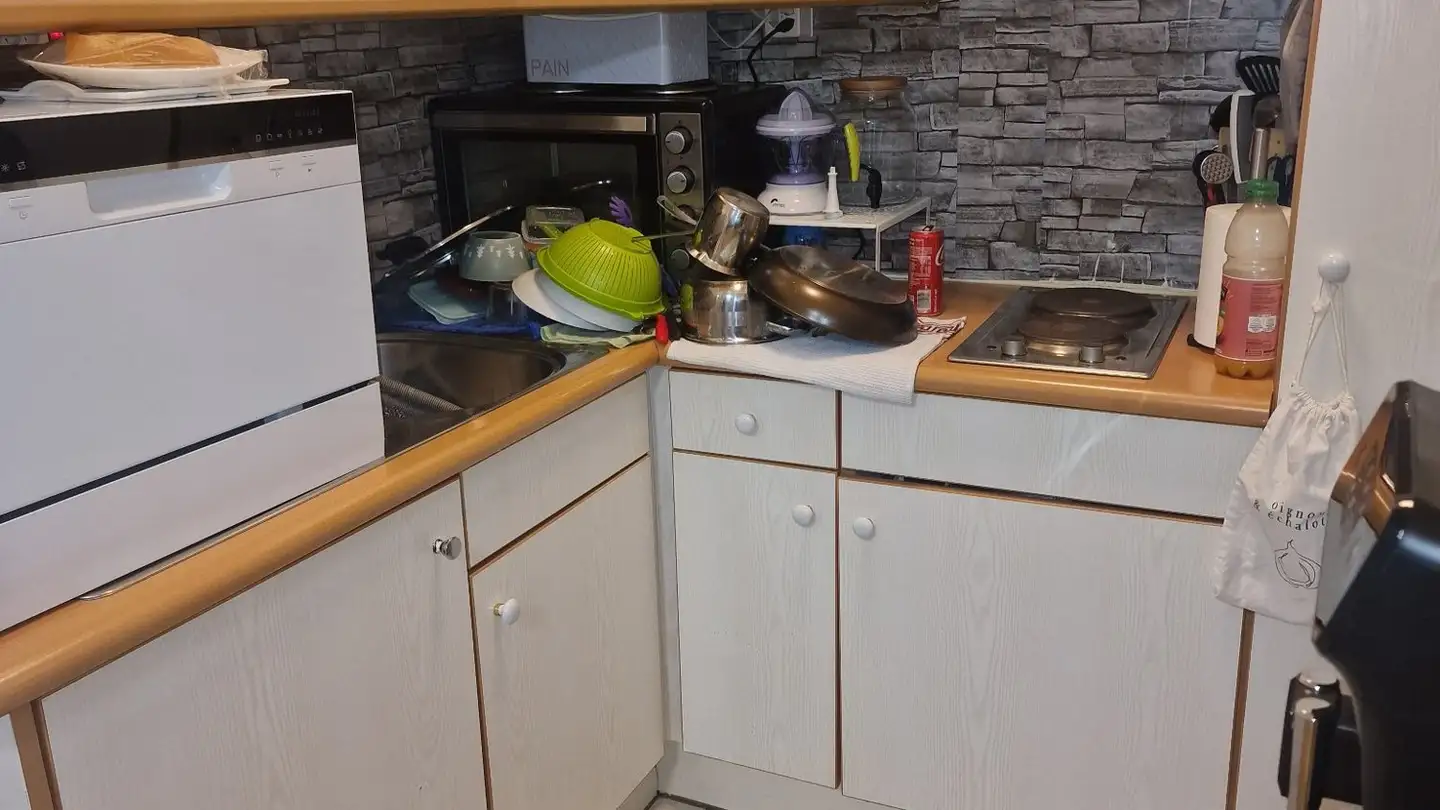 Appartamento in affitto - Rue Emile- Yung 3, 1205 Genève - Foto 2