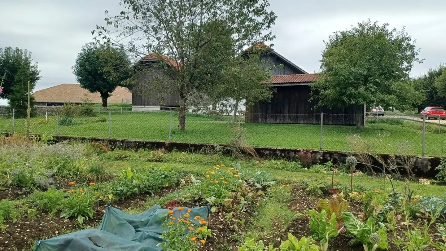 Appartamento in affitto - Rue Des Sommêtres 9, 2350 Saignelégier - Photo 3