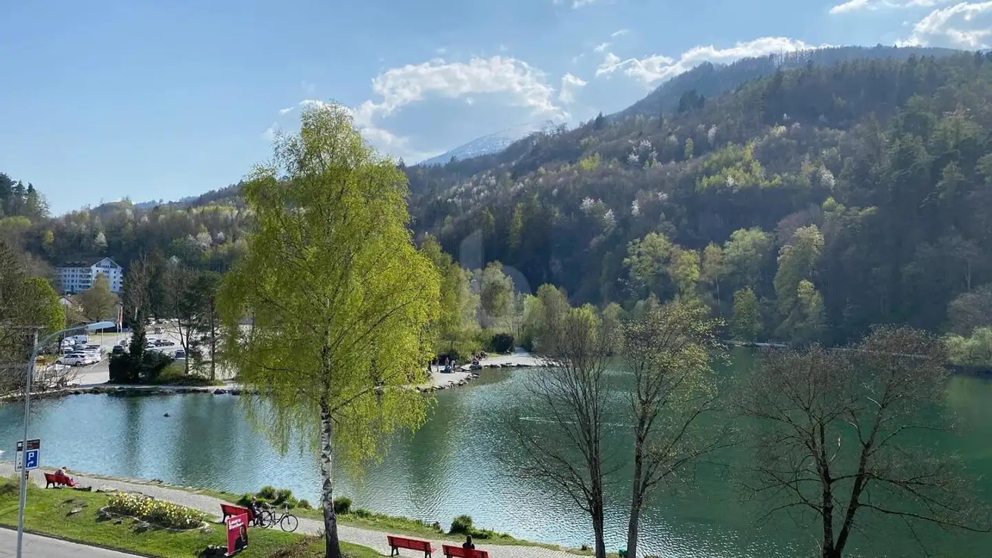 Appartamento in vendita - Werdenberg, 9470 Werdenberg - Foto 4